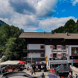 Pinzgauerhof By Skinetworks Hotel